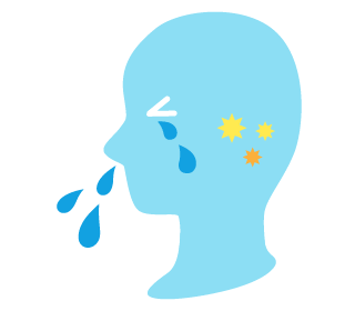 鼻水、鼻づまり、くしゃみ等のアレルギー反応を起こす