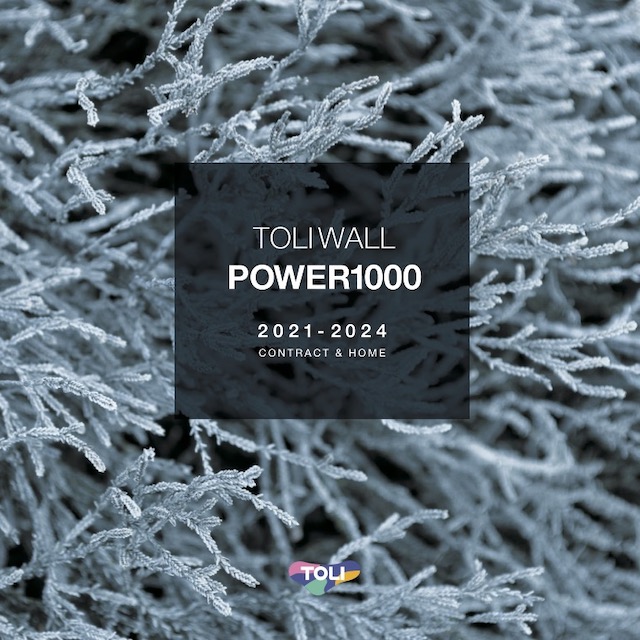 POWER1000(パワー1000)