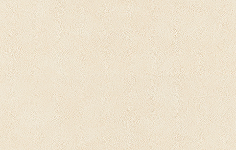 【のり付き】 RE-53073 サンゲツ 壁紙/クロス 切売 サンゲツ のり付き壁紙/クロス
