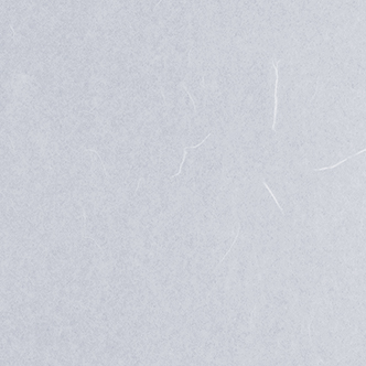 No.2 ワーロンシート 雲竜 (0.45×930×2150) ワーロン 装飾用シート