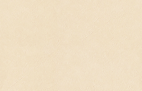 【のり付き】 TH-32318 サンゲツ 壁紙/クロス 切売 サンゲツ のり付き壁紙/クロス