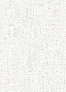 【のり付き】 FE-76493 サンゲツ 壁紙/クロス 切売 サンゲツ のり付き壁紙/クロス