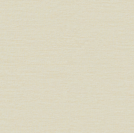 【のり付き】 RE-53119 サンゲツ 壁紙/クロス 切売 サンゲツ のり付き壁紙/クロス