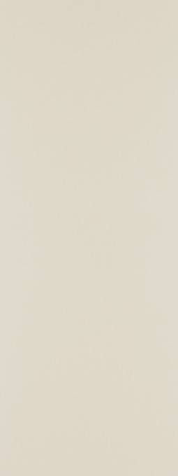FYA 1896ZMN アイカ工業 不燃化粧板 セラールバスルーム用 3×8 (2枚単位) アイカ工業 化粧板