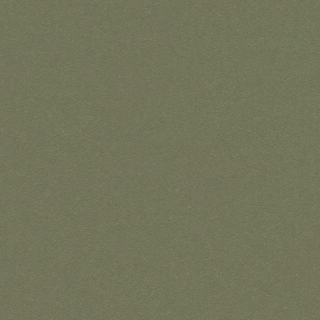 【のり付き】 RE-53193 サンゲツ 壁紙/クロス 切売 サンゲツ のり付き壁紙/クロス
